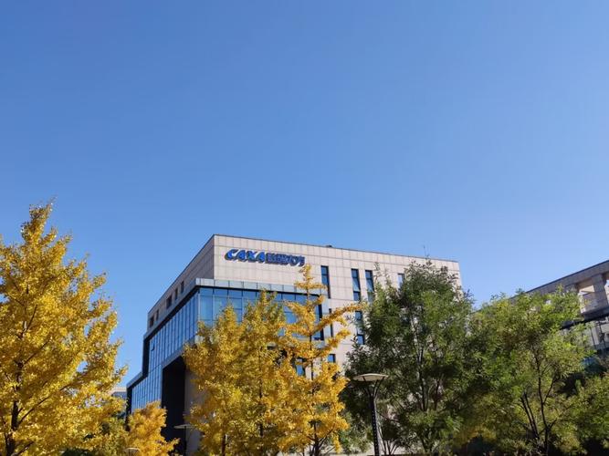 北京数码大方科技股份